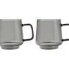 Blend Sala Glass Mug 400ML Set Of 2 Charcoal Gift Boxed