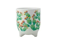 Royal Botanic Garden Arid Garden Planter Pot 14cm Prickly Pear