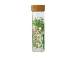 Royal Botanic Garden Arid Garden Glass Water Bottle 550ML Dracaena