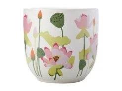 Royal Botanic Gardens Victoria Lotus Planter Pot 16cm White