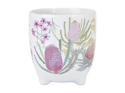 Royal Botanic Gardens Native Blooms Plant Pot 10cm