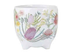 Royal Botanic Gardens Native Blooms Plant Pot 16cm
